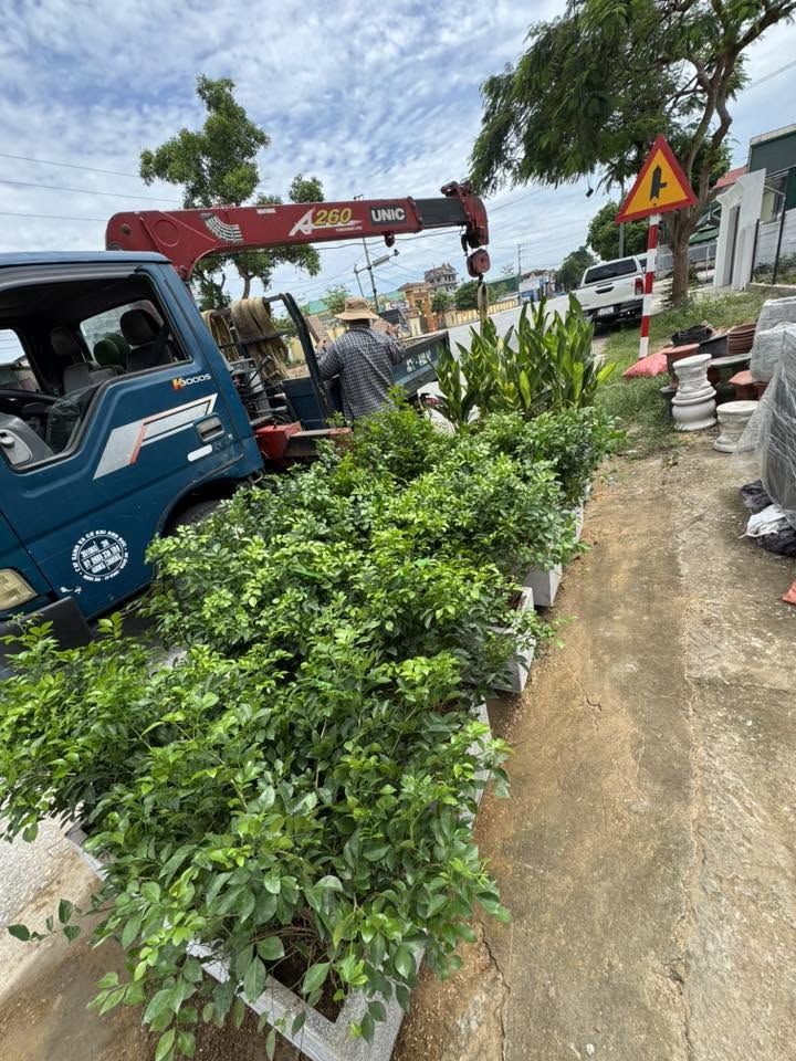 Nhà Vườn Hằng Hà