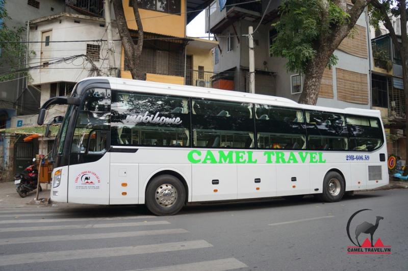 Xe Camel Travel