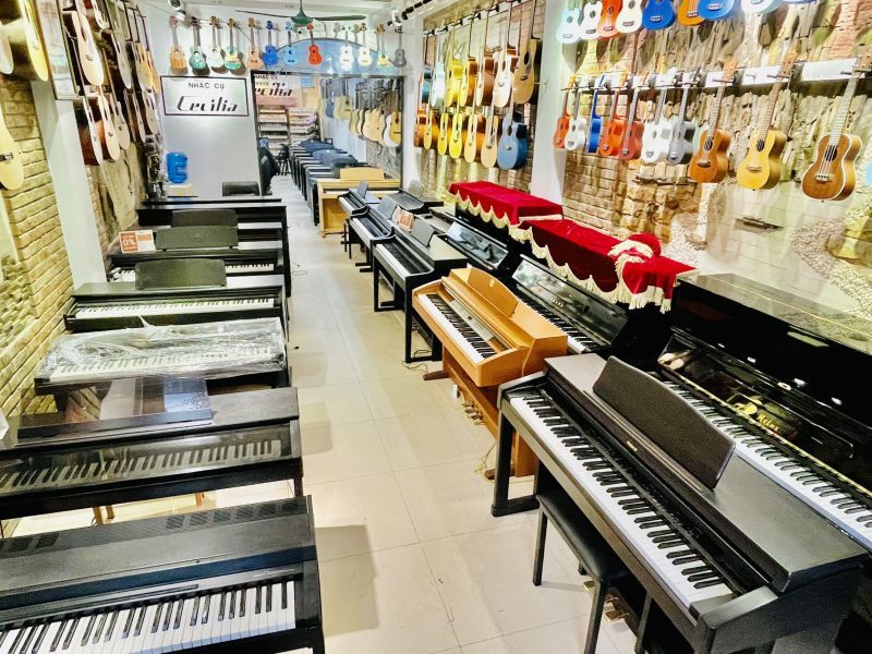 NHẠC CỤ CECILIA (Xê- xi- li- a)