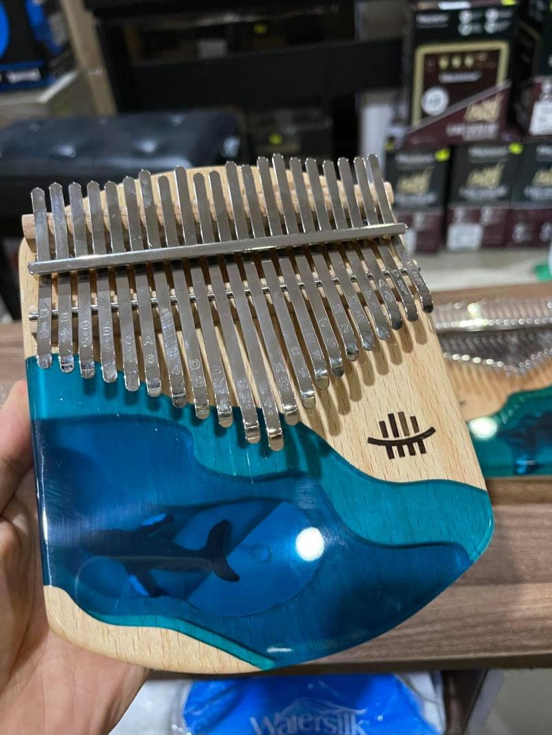 Nhạc cụ Tiến Mạnh