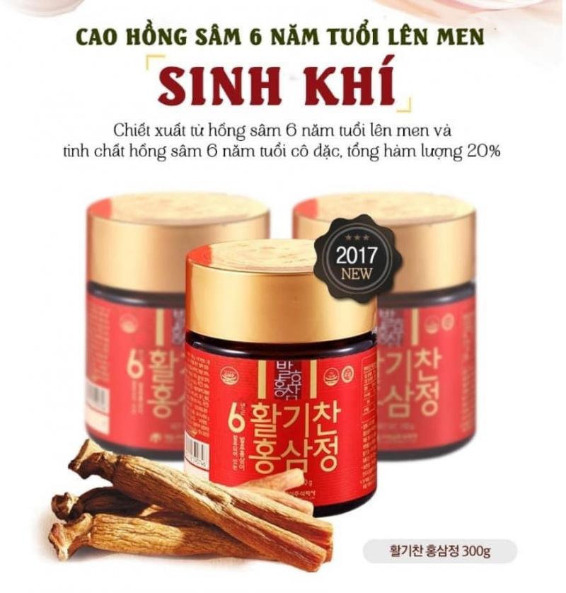 Nhân sâm Hà Nội