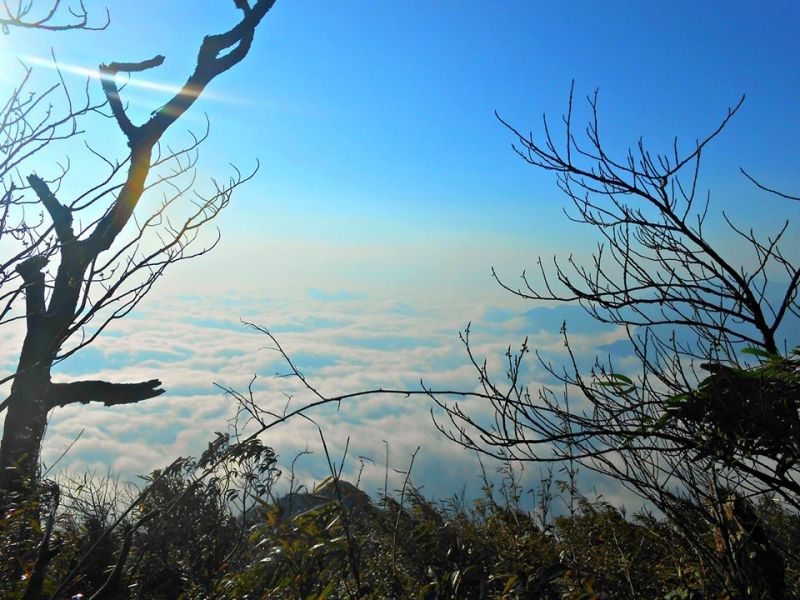 Nhìu Cô San (Sừng Trâu) (2,965 m)