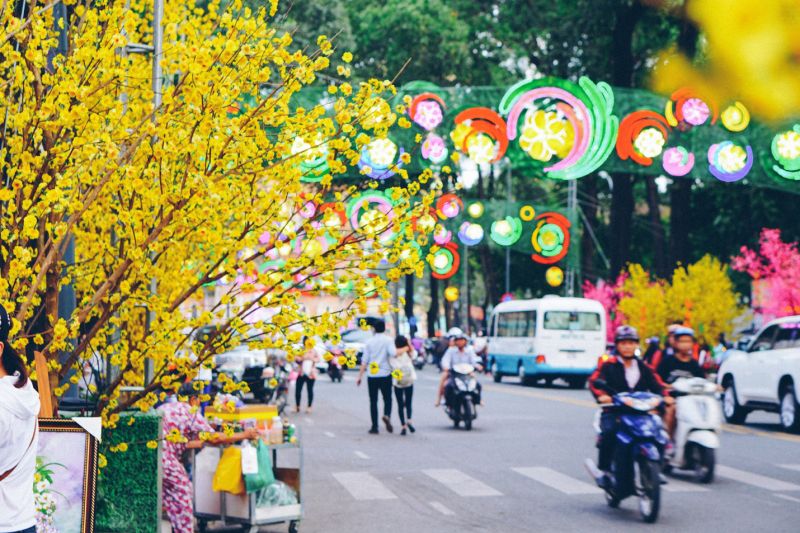 Thơ về hoa mai ngày Tết hay nhất