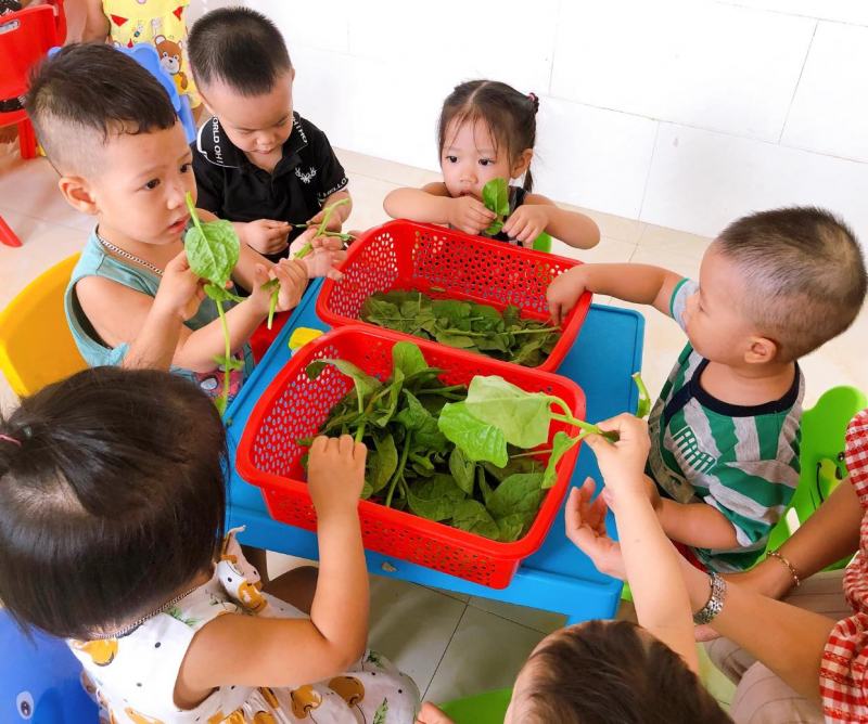 Nhóm Trẻ Đô Rê Mon Kids