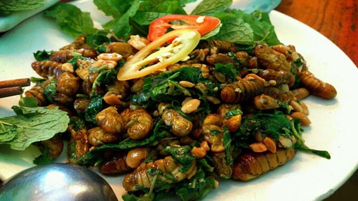 Silkworm pupa is a familiar dish in people's daily meals, especially in localities where silkworm farming is practiced.