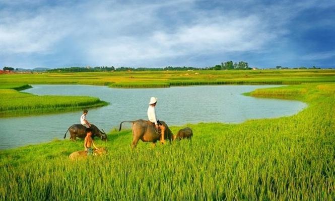 Thái Bình: Thái Bình là một tỉnh đầy nắng và gió với nhiều vùng đồng ruộng tươi tốt và những cảnh quan hữu tình. Hãy khám phá những hình ảnh đất trời Thái Bình và cảm nhận sự thanh bình và yên tĩnh của vùng đất miền sông nước.