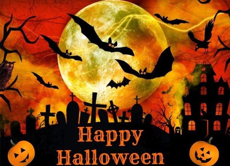 Những con dơi trong lễ hội Halloween