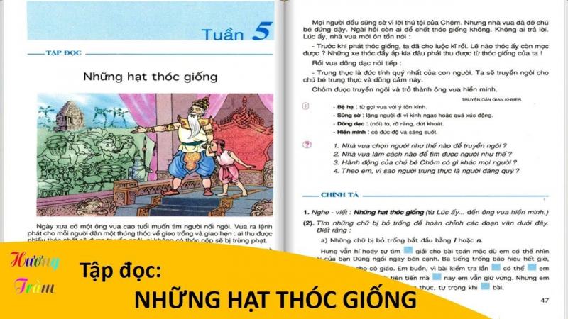 Những hạt thóc giống