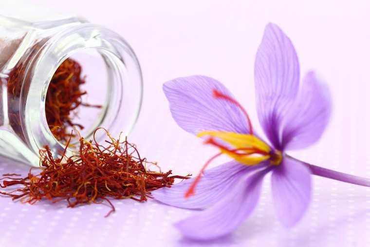 Nhụy hoa nghệ tây Saffron