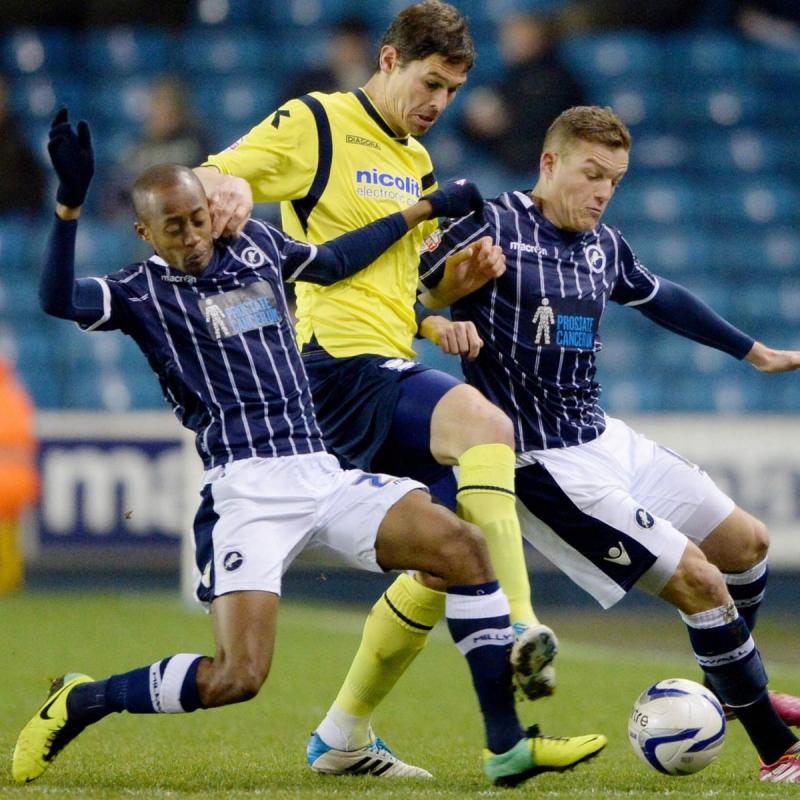 Nikola Zigic