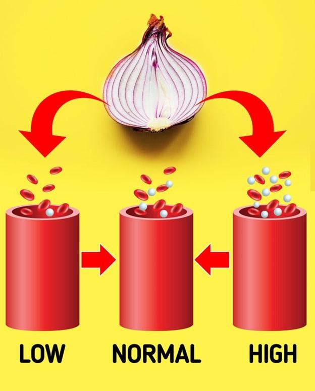 Nó giúp điều chỉnh lượng đường trong máu