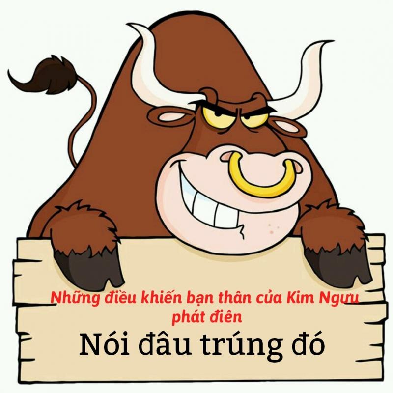 Kim Ngưu nói đâu trúng đó