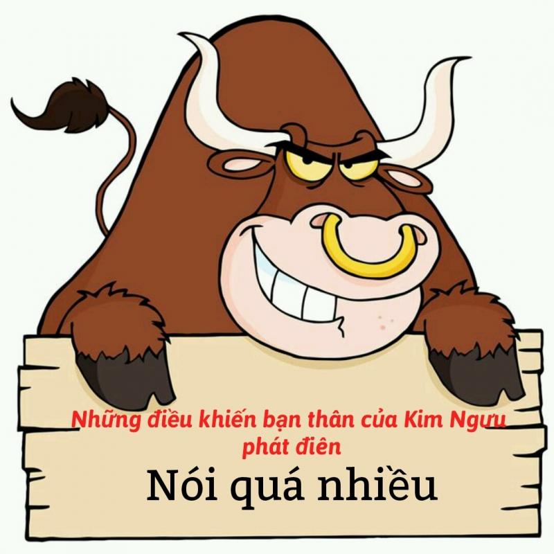 Kim Ngưu nói nhiều