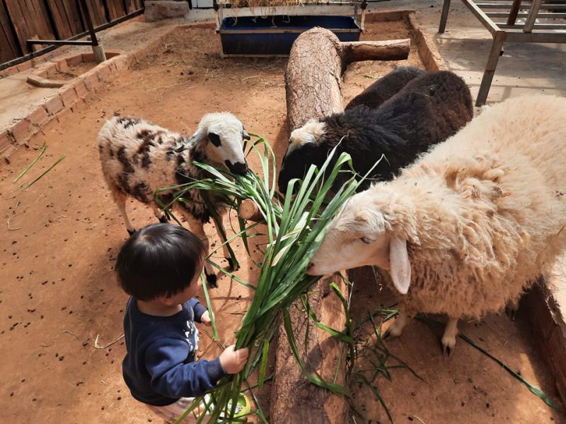 Nông trại An Hy