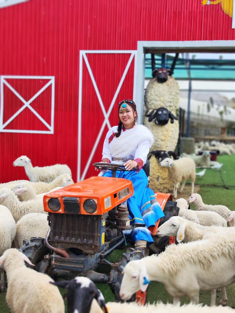 Nông Trại Cừu Frenzy Farm