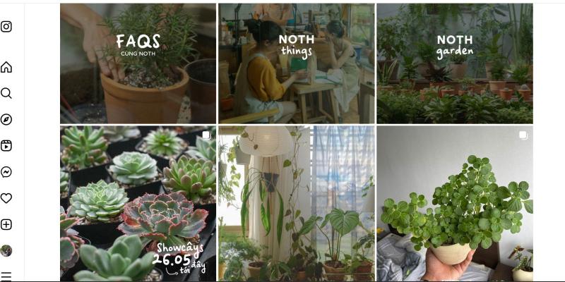 Noth Garden là một vườn cây nhỏ nằm trong quán cafe Noth