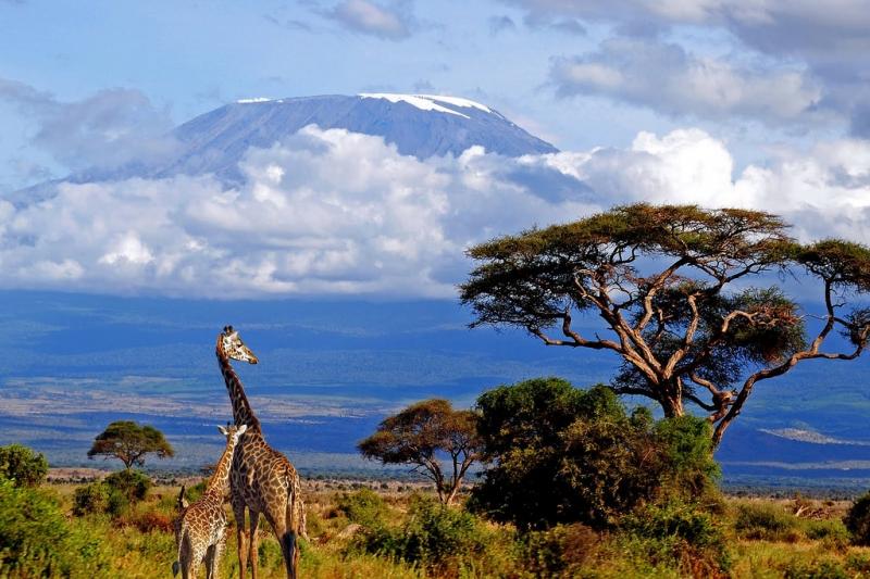 Núi Kilimanjaro