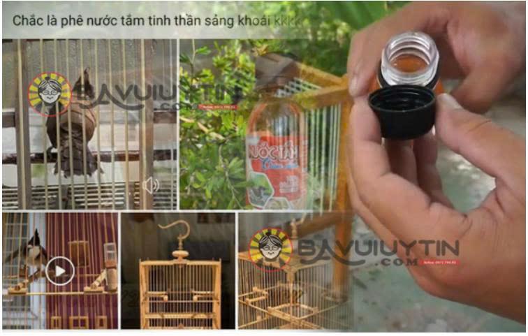 Nước Tắm Chim Cảnh Hiển Bảo Khánh