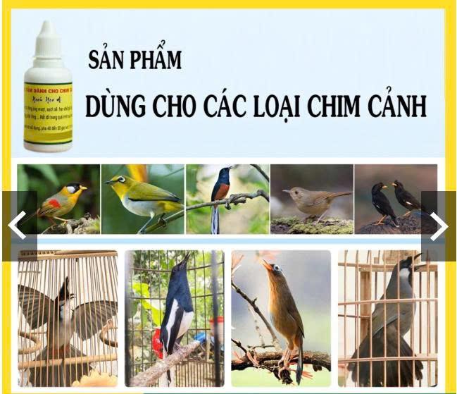Nước tắm chim cảnh Hoạt Họa Mi