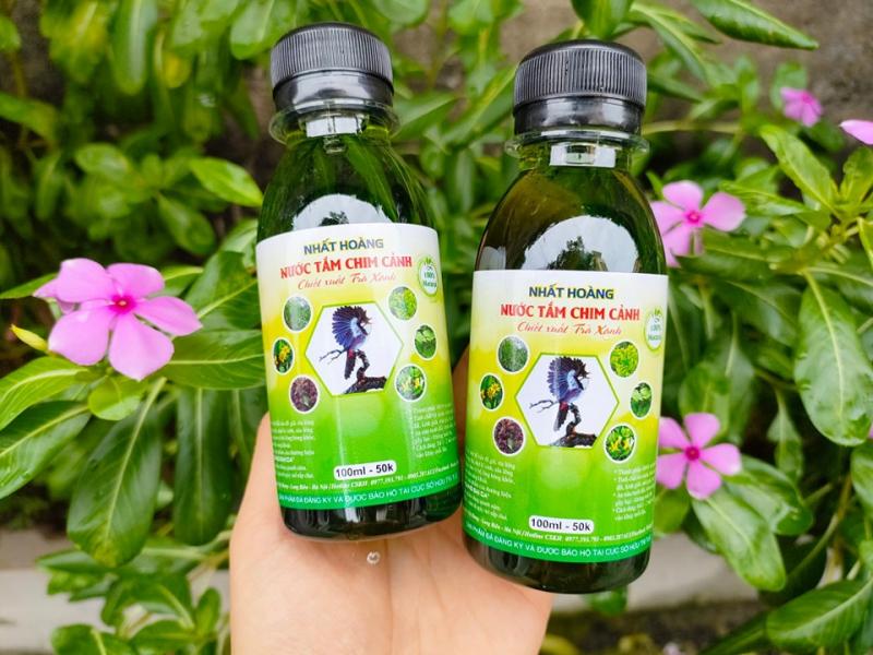 Nước Tắm Chim Cảnh Nhất Hoàng