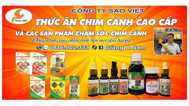 Nước tắm chim cảnh Sao Việt
