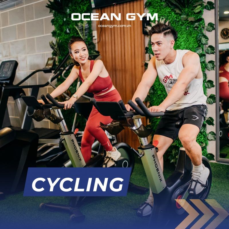 Ocean Gym