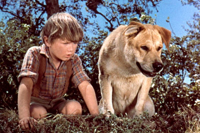 Old Yeller (1957)