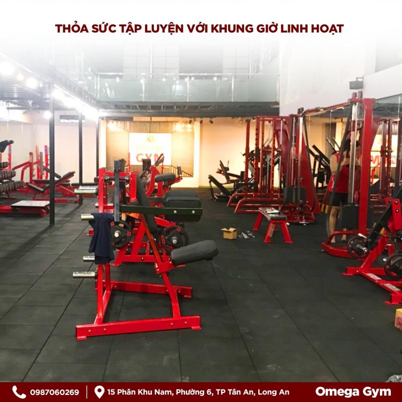 Omega Gym