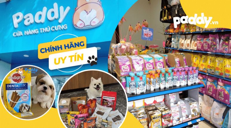 Paddy Pet Shop