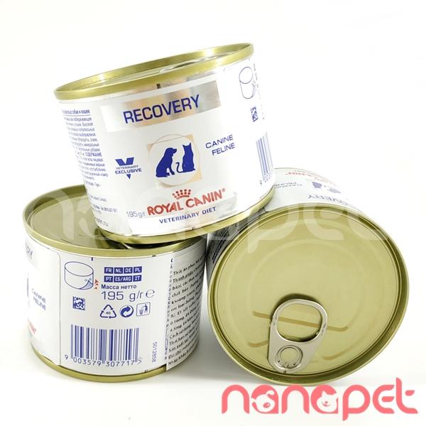 Pate Royal Canin – Recovery