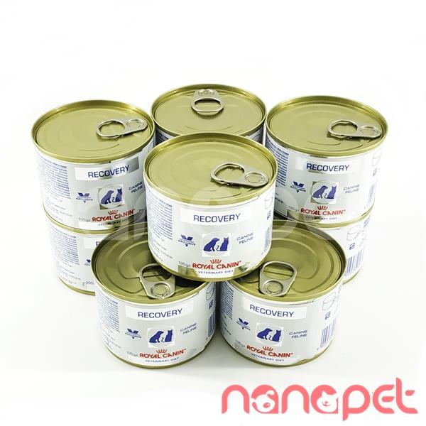 Pate Royal Canin – Recovery