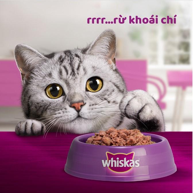 Pate Whiskas vị cá biển và cá ngừ