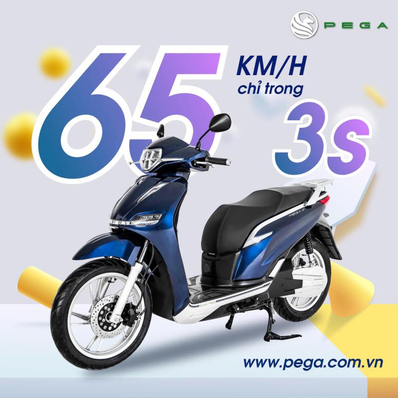 pega.com.vn