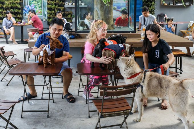 Pet Coffee Garden