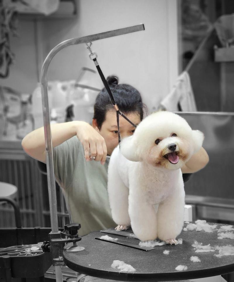 Pet Grooming - Thú y Minh Thư