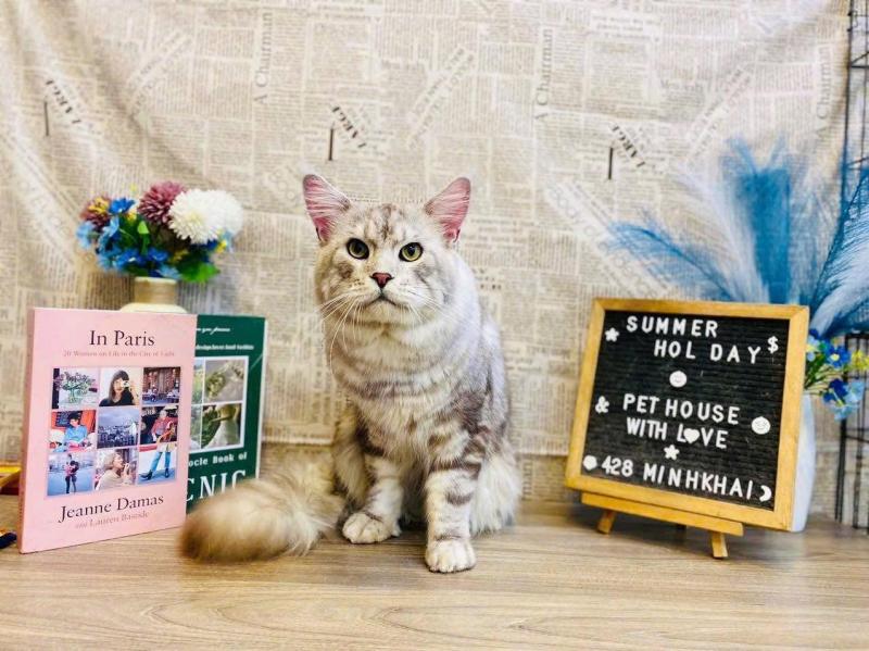 Pet House