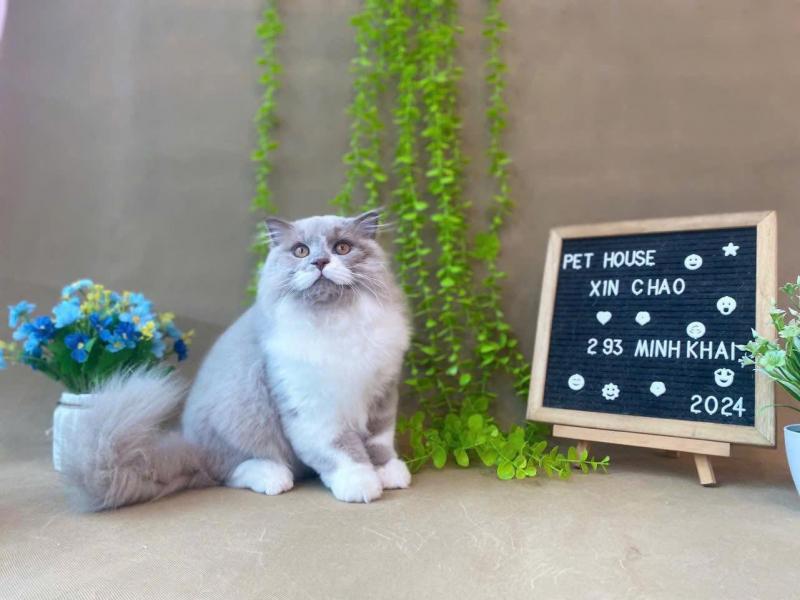 Pet House