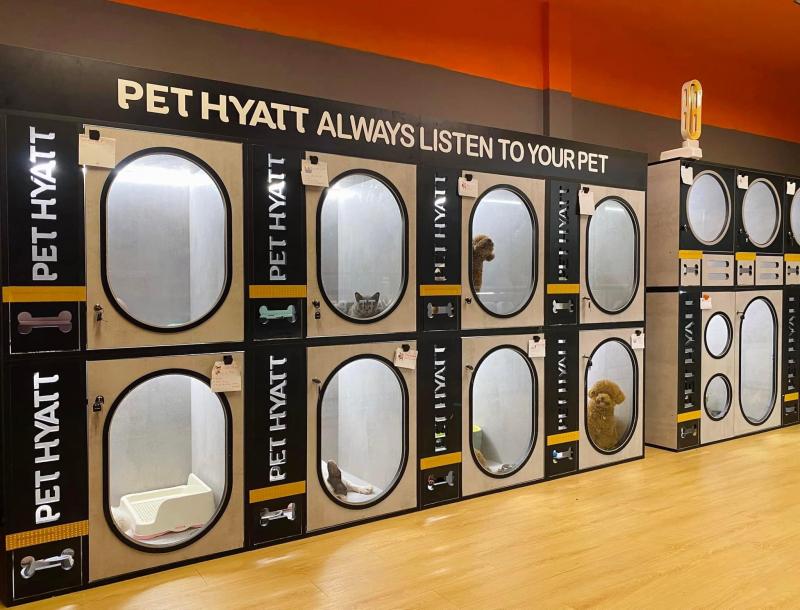 Pet Hyatt - Spa Hotel chó mèo chuẩn 5 sao