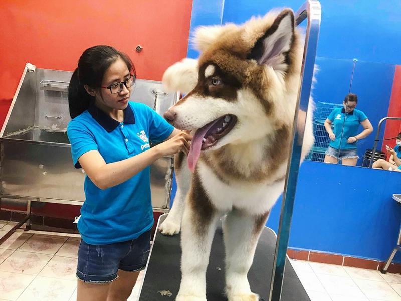 Pet Mart - Cửa Hàng Thú Cưng