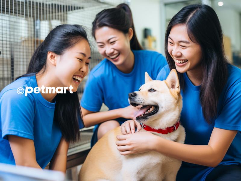 Pet Mart Hà Tĩnh