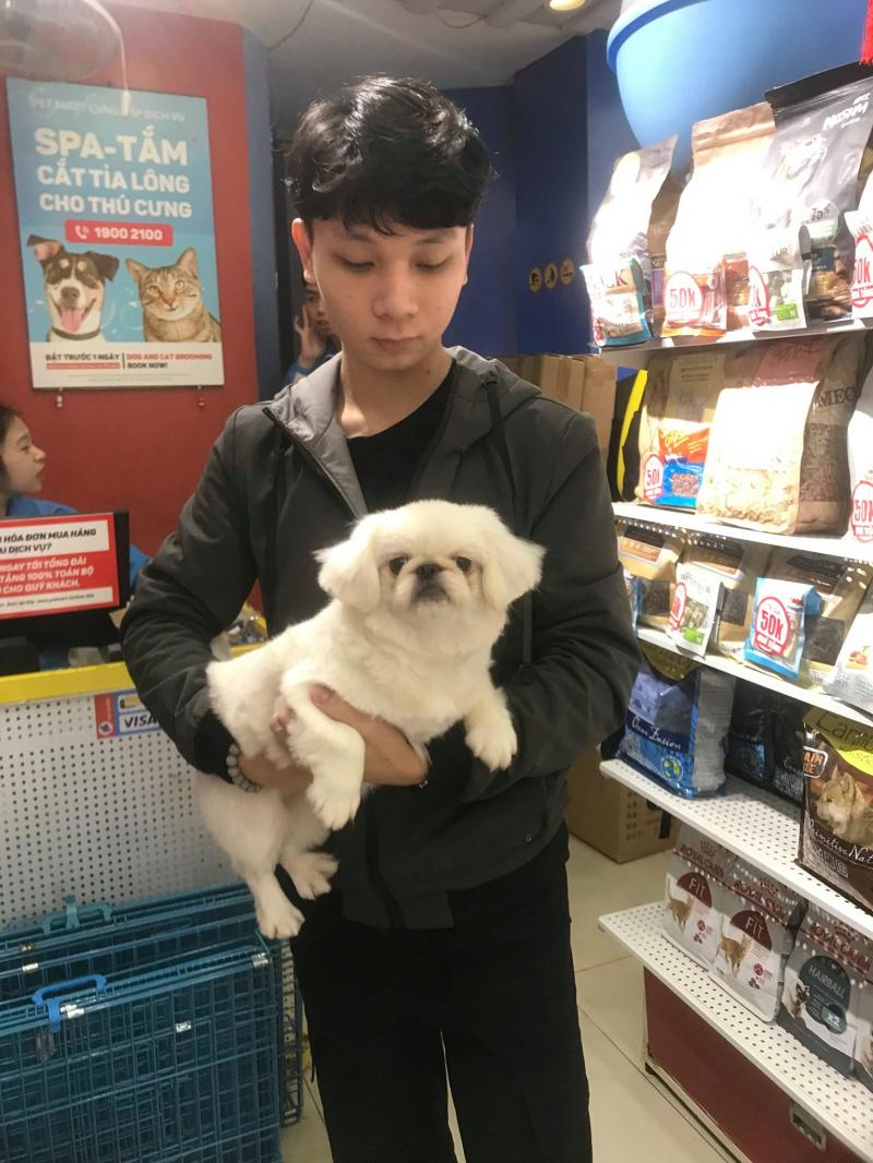 Pet Mart - Hệ Thống Siêu Thị Thú Cưng