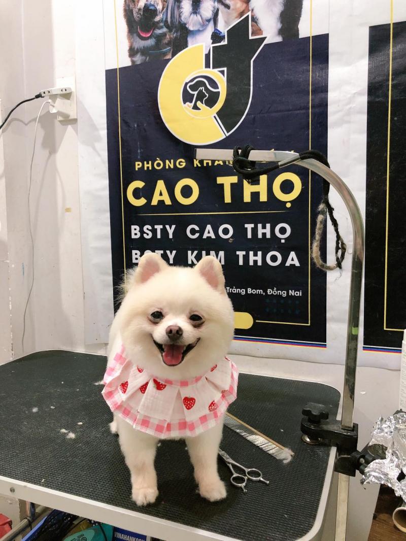 Pet Shop Cao Thọ