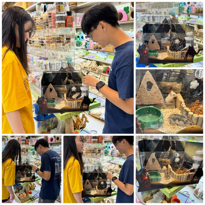 Pet shop Miền Đất hứa