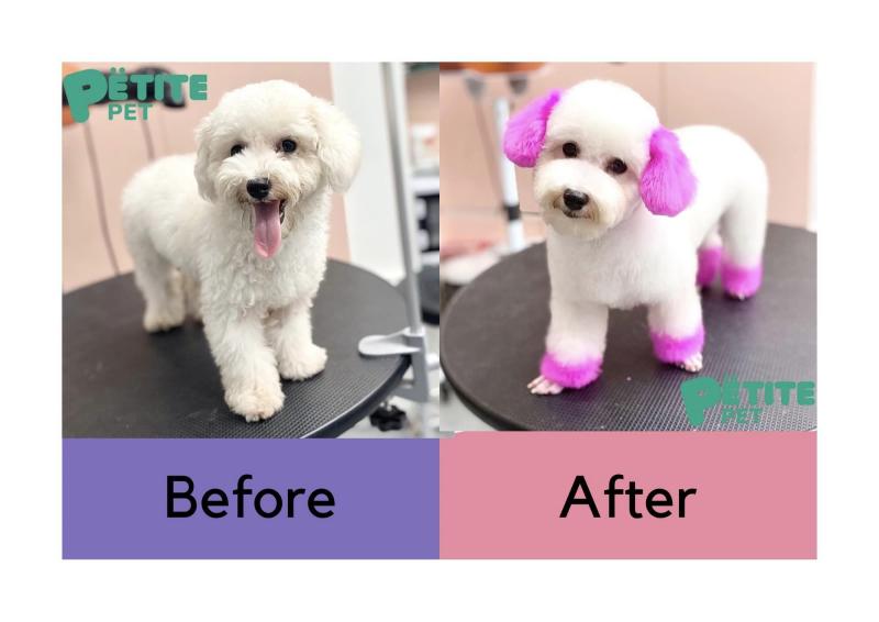 Petite Pet Grooming Spa & Hotel