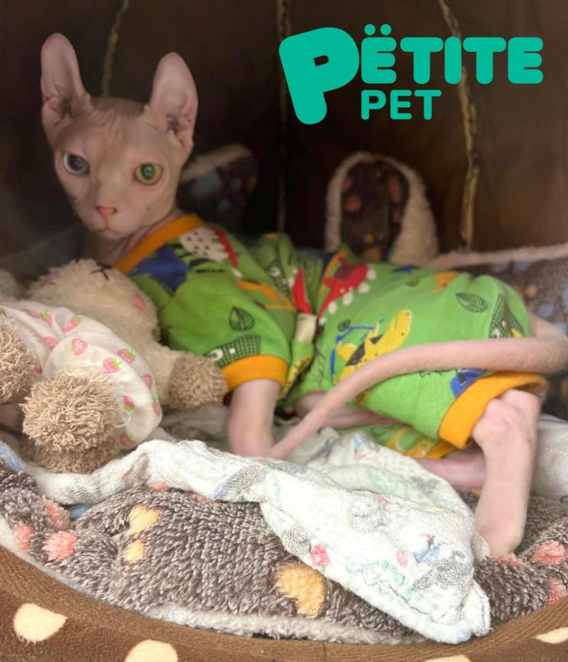 Petite Pet Grooming Spa & Hotel