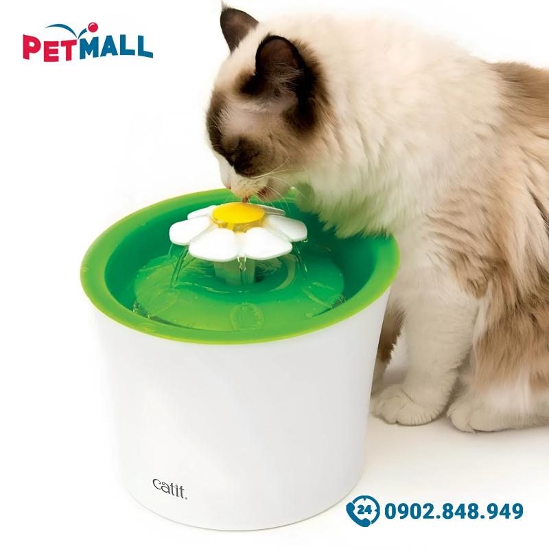 Petmall.vn - Petstore