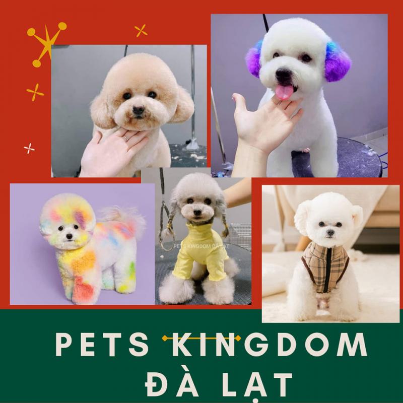 Pets Kingdom