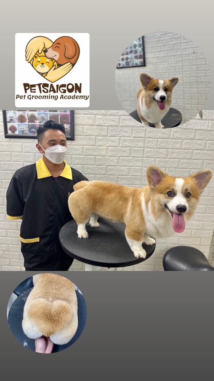 Petsaigon.vn