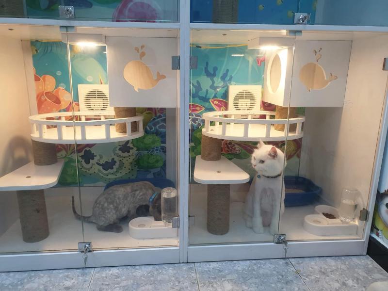 Petshop Ốc Nhỏ