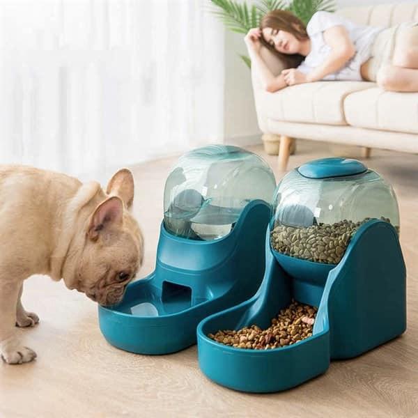 Petshop Ốc Nhỏ